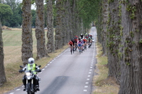MP1A8803.JPG