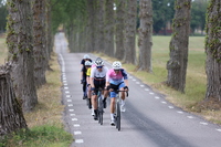 MP1A8896.JPG