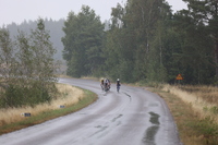 MP1A9028.JPG