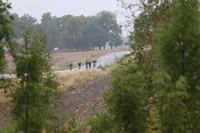 MP1A9119.JPG